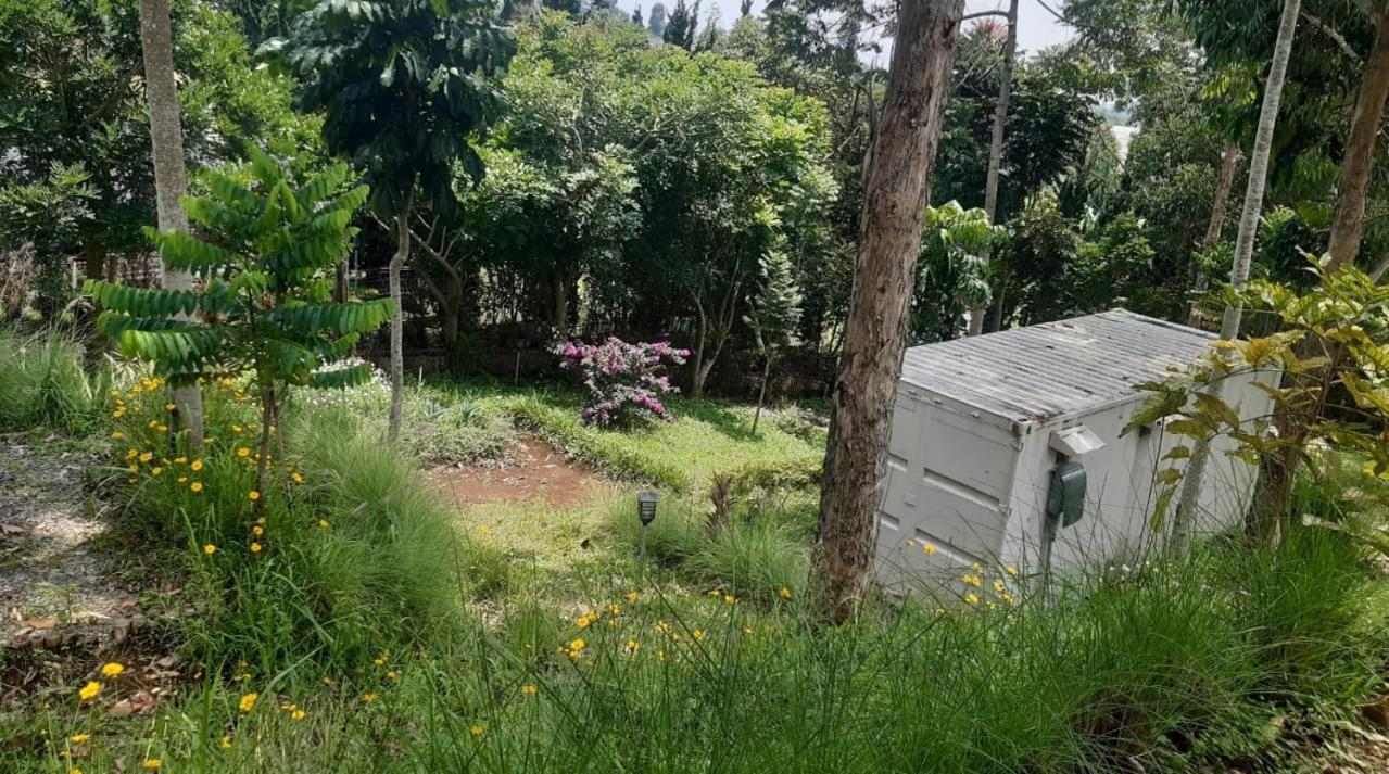 Hotel Bukit Pinus Tegalharendong المظهر الخارجي الصورة