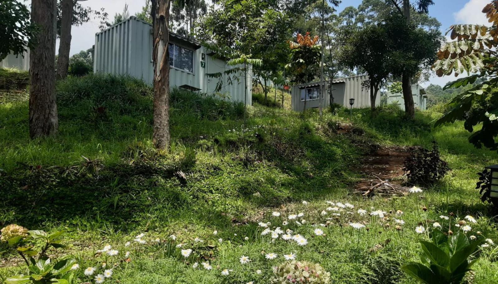 Hotel Bukit Pinus Tegalharendong المظهر الخارجي الصورة