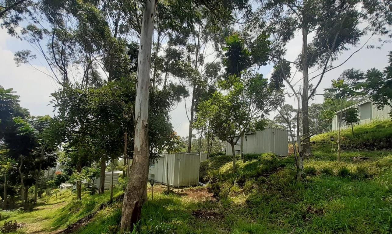 Hotel Bukit Pinus Tegalharendong المظهر الخارجي الصورة