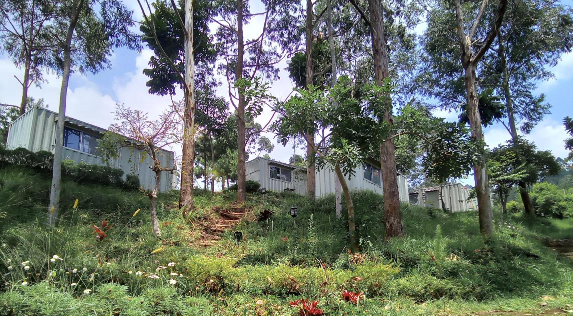 Hotel Bukit Pinus Tegalharendong المظهر الخارجي الصورة